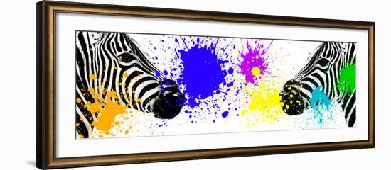 Safari Colors Pop Collection - Zebras Face to Face III-Philippe Hugonnard-Framed Giclee Print