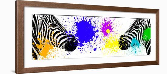 Safari Colors Pop Collection - Zebras Face to Face III-Philippe Hugonnard-Framed Giclee Print