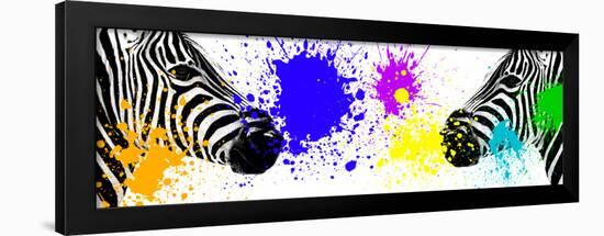 Safari Colors Pop Collection - Zebras Face to Face III-Philippe Hugonnard-Framed Giclee Print