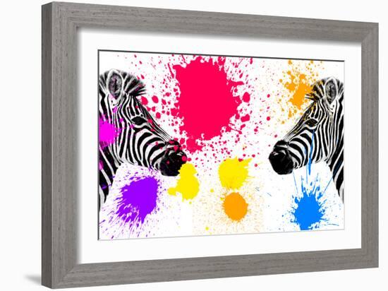 Safari Colors Pop Collection - Zebras Face to Face IV-Philippe Hugonnard-Framed Giclee Print