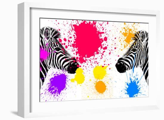 Safari Colors Pop Collection - Zebras Face to Face IV-Philippe Hugonnard-Framed Giclee Print