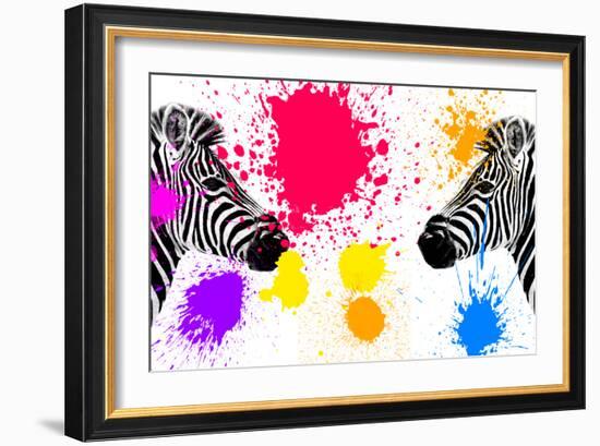 Safari Colors Pop Collection - Zebras Face to Face IV-Philippe Hugonnard-Framed Giclee Print