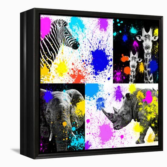 Safari Colors Pop Collection-Philippe Hugonnard-Framed Premier Image Canvas