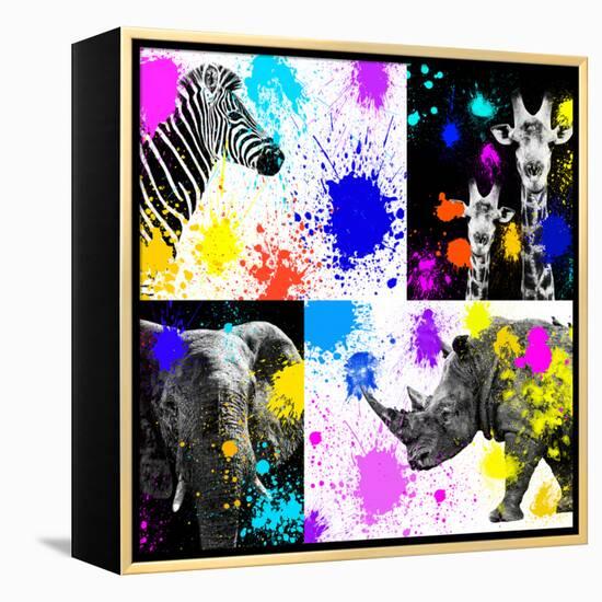 Safari Colors Pop Collection-Philippe Hugonnard-Framed Premier Image Canvas