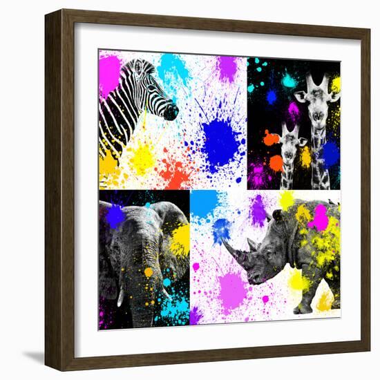 Safari Colors Pop Collection-Philippe Hugonnard-Framed Giclee Print