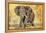 Safari Elephant-Madelaine Morris-Framed Stretched Canvas