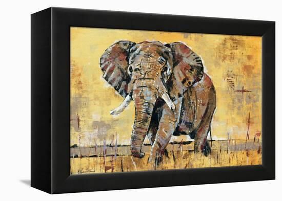 Safari Elephant-Madelaine Morris-Framed Stretched Canvas