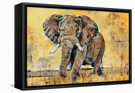 Safari Elephant-Madelaine Morris-Framed Stretched Canvas