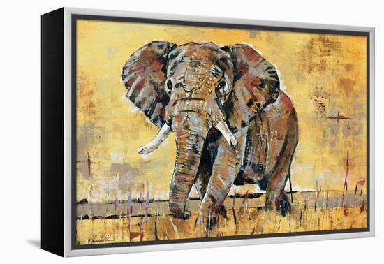 Safari Elephant-Madelaine Morris-Framed Stretched Canvas