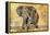 Safari Elephant-Madelaine Morris-Framed Stretched Canvas