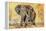 Safari Elephant-Madelaine Morris-Framed Stretched Canvas