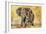 Safari Elephant-Madelaine Morris-Framed Art Print