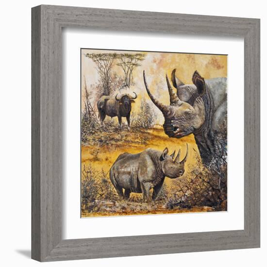 Safari I-Peter Blackwell-Framed Art Print
