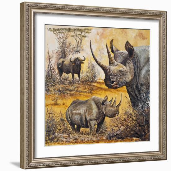 Safari I-Peter Blackwell-Framed Art Print