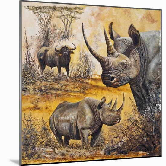 Safari I-Peter Blackwell-Mounted Art Print