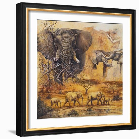 Safari II-Peter Blackwell-Framed Art Print