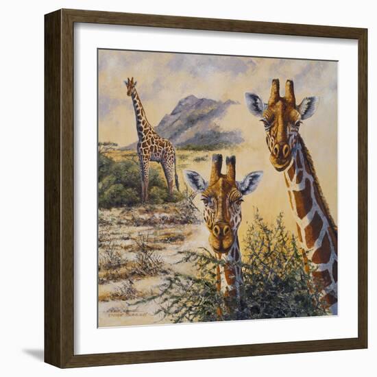 Safari IV-Peter Blackwell-Framed Art Print