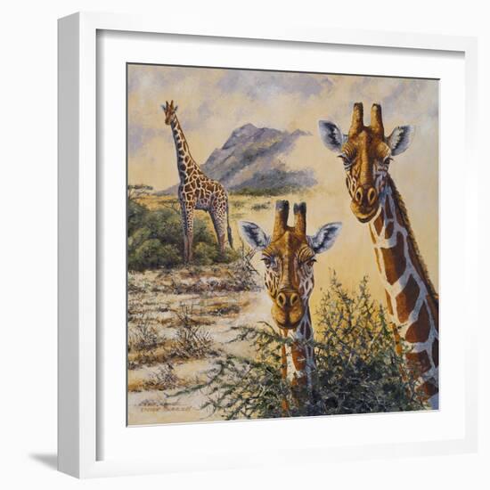 Safari IV-Peter Blackwell-Framed Art Print