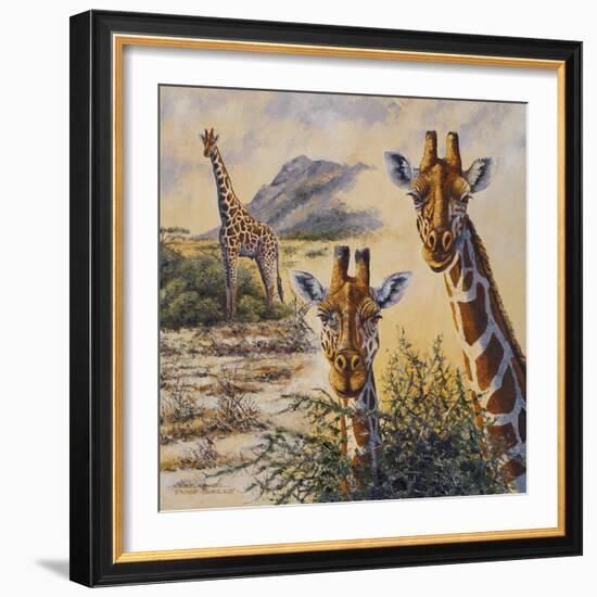 Safari IV-Peter Blackwell-Framed Art Print