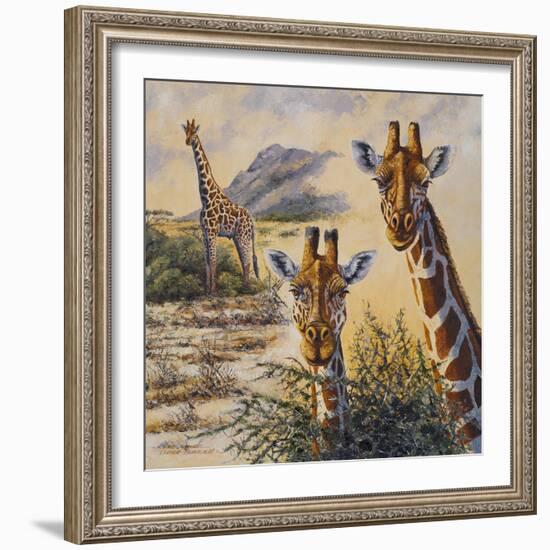 Safari IV-Peter Blackwell-Framed Premium Giclee Print