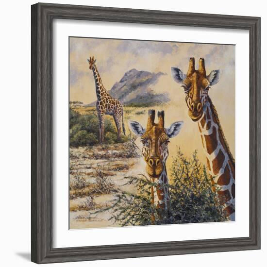 Safari IV-Peter Blackwell-Framed Premium Giclee Print