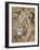 Safari Lion-Chad Barrett-Framed Art Print