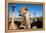 Safari Ostrich Show Farm Oudtshoorn, Little Karoo, South Africa, Africa, 2018 (Photo)-null-Framed Premier Image Canvas