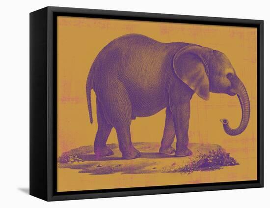 Safari Pop I-Studio W-Framed Stretched Canvas