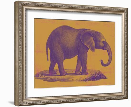 Safari Pop I-Studio W-Framed Art Print