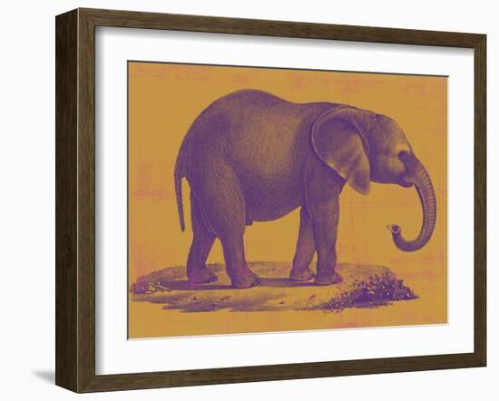 Safari Pop I-Studio W-Framed Art Print