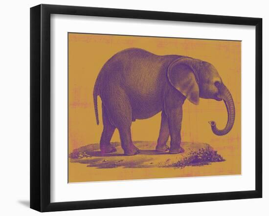 Safari Pop I-Studio W-Framed Art Print