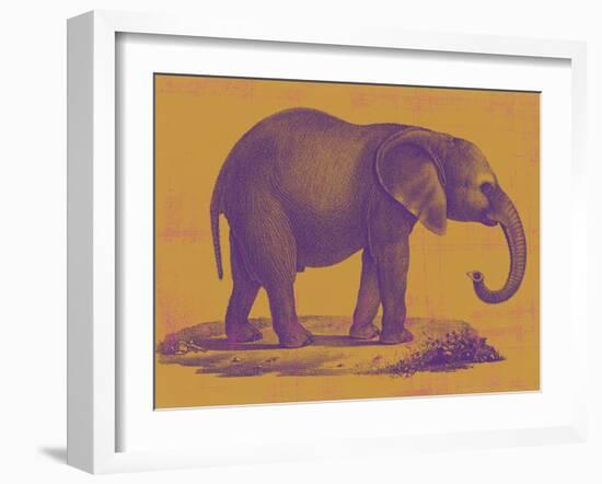 Safari Pop I-Studio W-Framed Art Print