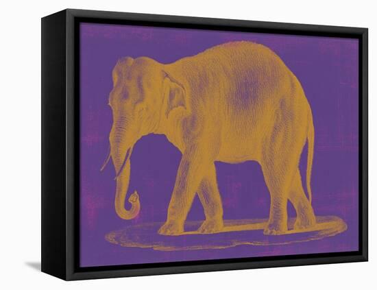 Safari Pop II-Studio W-Framed Stretched Canvas