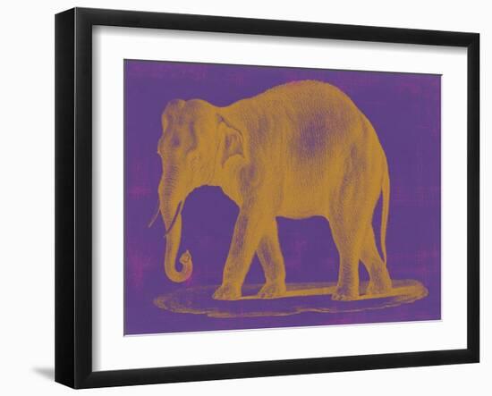 Safari Pop II-Studio W-Framed Art Print