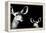 Safari Profile Collection - Antelope and Baby Black Edition II-Philippe Hugonnard-Framed Premier Image Canvas