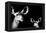 Safari Profile Collection - Antelope and Baby Black Edition II-Philippe Hugonnard-Framed Premier Image Canvas