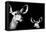 Safari Profile Collection - Antelope and Baby Black Edition II-Philippe Hugonnard-Framed Premier Image Canvas