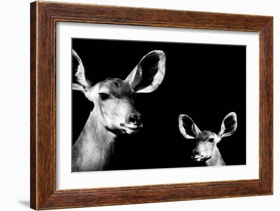 Safari Profile Collection - Antelope and Baby Black Edition II-Philippe Hugonnard-Framed Photographic Print