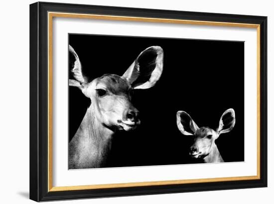 Safari Profile Collection - Antelope and Baby Black Edition II-Philippe Hugonnard-Framed Photographic Print