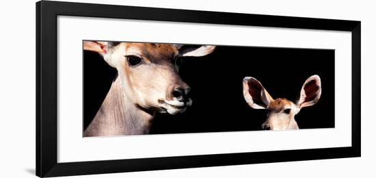 Safari Profile Collection - Antelope and Baby Black Edition III-Philippe Hugonnard-Framed Photographic Print