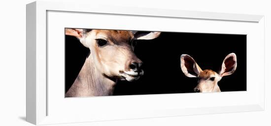 Safari Profile Collection - Antelope and Baby Black Edition III-Philippe Hugonnard-Framed Photographic Print