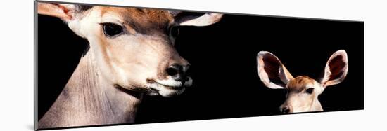 Safari Profile Collection - Antelope and Baby Black Edition III-Philippe Hugonnard-Mounted Photographic Print