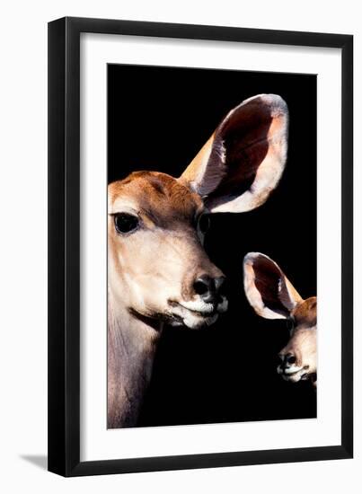 Safari Profile Collection - Antelope and Baby Black Edition V-Philippe Hugonnard-Framed Photographic Print