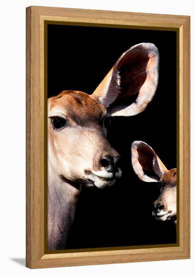 Safari Profile Collection - Antelope and Baby Black Edition V-Philippe Hugonnard-Framed Premier Image Canvas