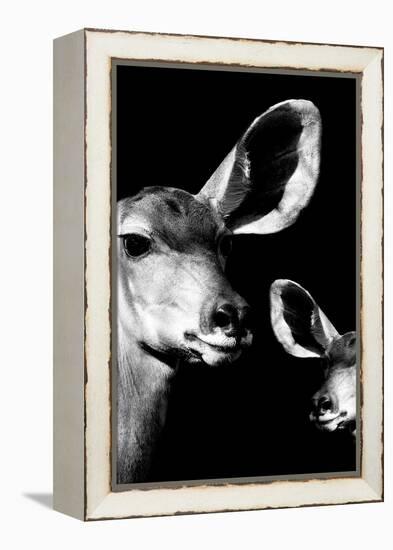 Safari Profile Collection - Antelope and Baby Black Edition VI-Philippe Hugonnard-Framed Premier Image Canvas