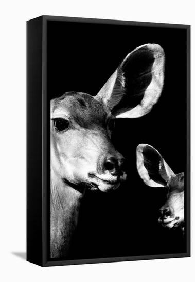 Safari Profile Collection - Antelope and Baby Black Edition VI-Philippe Hugonnard-Framed Premier Image Canvas