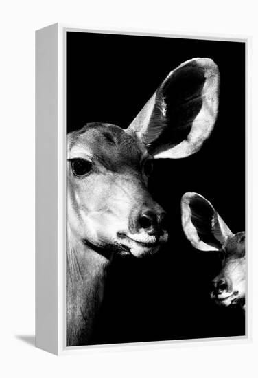 Safari Profile Collection - Antelope and Baby Black Edition VI-Philippe Hugonnard-Framed Premier Image Canvas