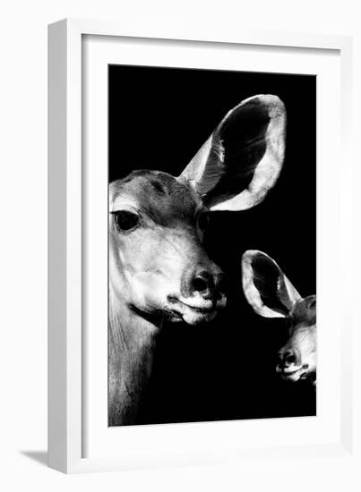 Safari Profile Collection - Antelope and Baby Black Edition VI-Philippe Hugonnard-Framed Photographic Print