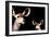 Safari Profile Collection - Antelope and Baby Black Edition-Philippe Hugonnard-Framed Photographic Print