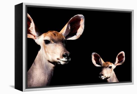 Safari Profile Collection - Antelope and Baby Black Edition-Philippe Hugonnard-Framed Premier Image Canvas